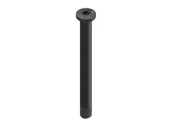 DT Swiss RWS läpiakseli etu 121mm 12x1.5