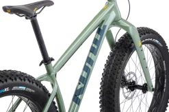 Kona Woo