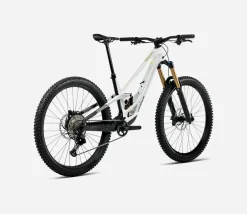 Orbea Rallon E-Team