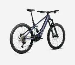 Orbea Wild H10 Mullet