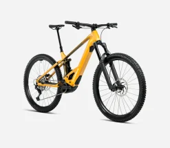 Orbea Wild H10 Mullet