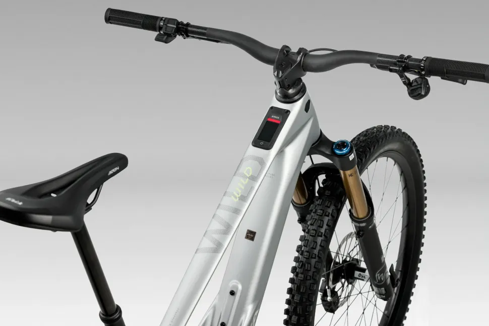 Orbea Wild LT H10