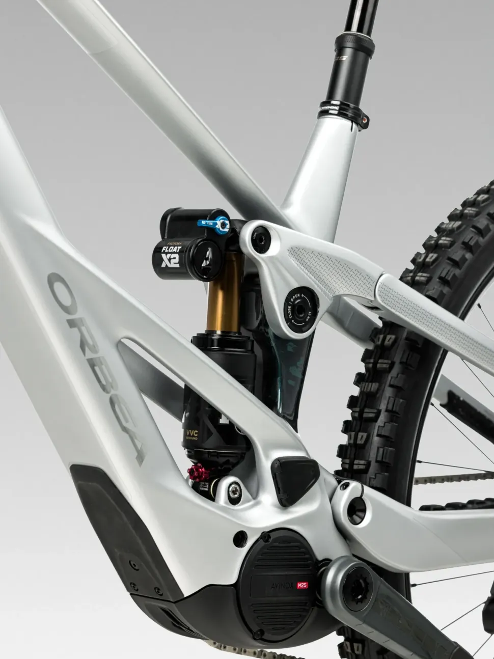 Orbea Wild LT H10