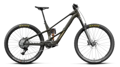 Orbea Wild LT M20