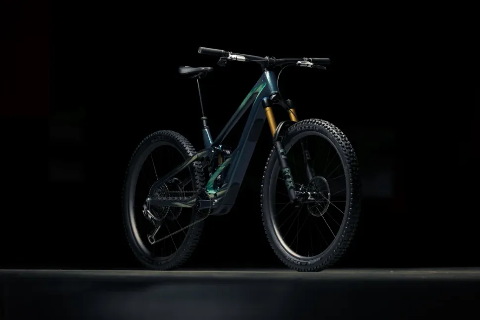 Orbea Wild LT M-LTD