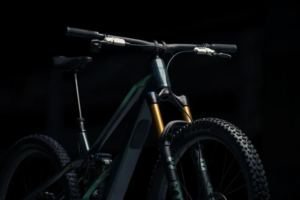 Orbea Wild LT M-LTD