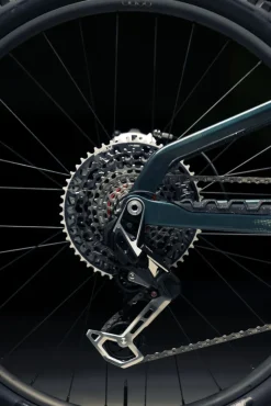 Orbea Wild LT M-LTD