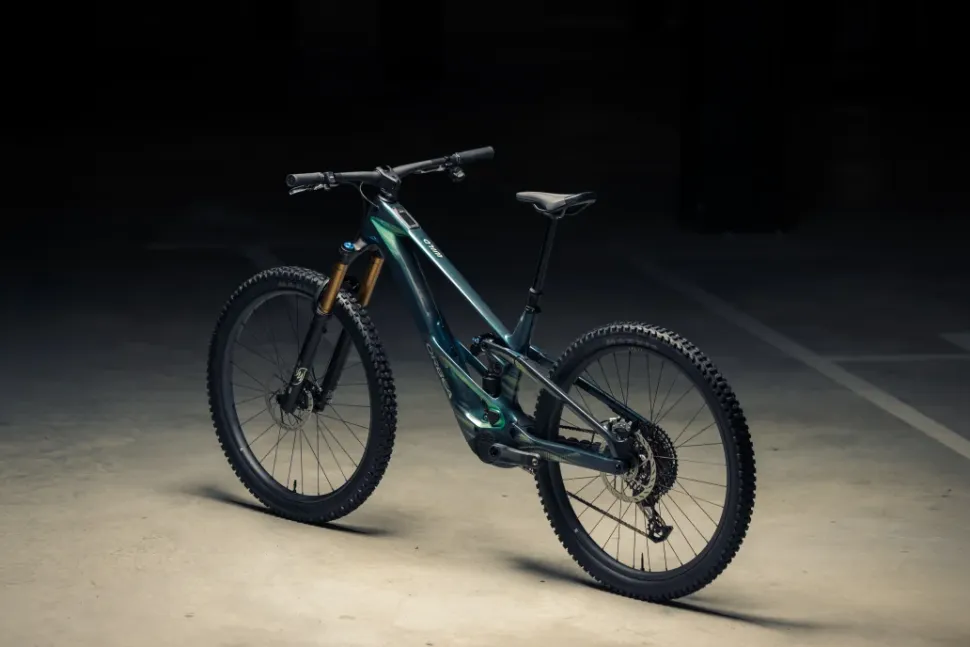 Orbea Wild LT M-LTD