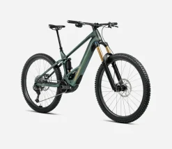Orbea Wild M10 Mullet