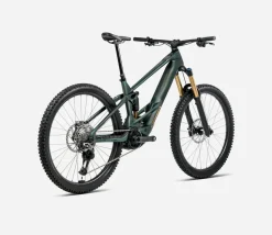 Orbea Wild M10 Mullet