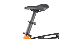 Tern GSD P10