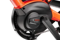 Tern HSD P10