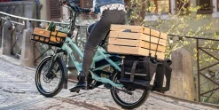 Tern HSD P5i