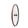WTB Proterra Light i25 584 TCS 100x12 28h